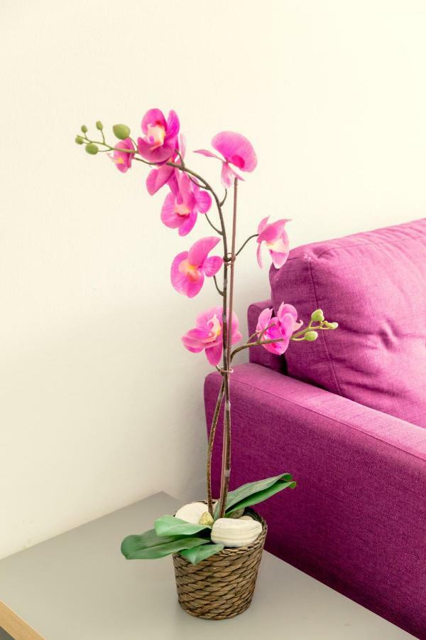 Savvas City Centre Flat لارنكا المظهر الخارجي الصورة